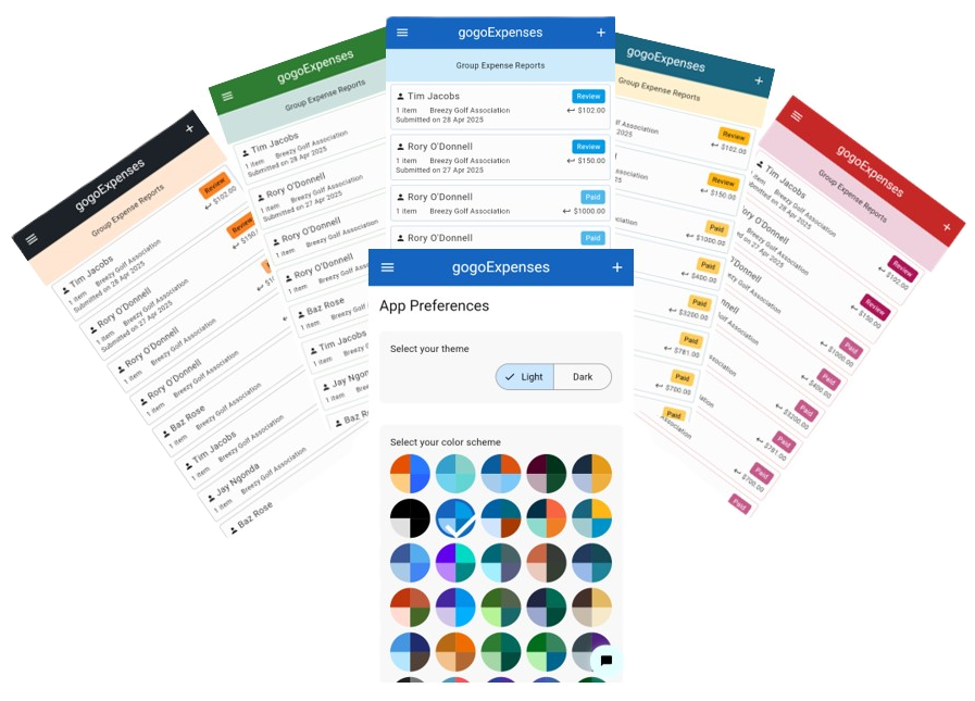gogo-Expenses app themes